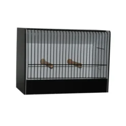 Cage D'exposition Caille Et Euphèmes En PVC