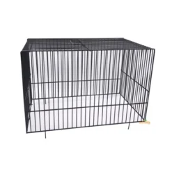 Dôme Cage D'exposition Frisé