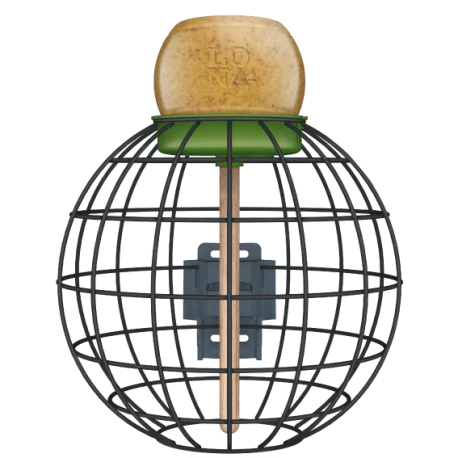 Mangeoire Lona "Voerkooi V2" - Vert - 20x20cm