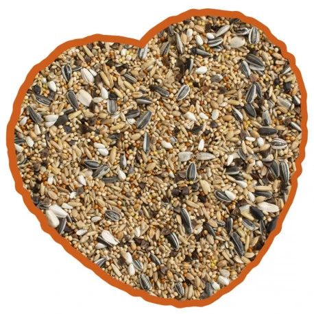 Grandes Perruches Duvo 20 Kg – Image 2