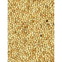 Millet Blanc 20kg