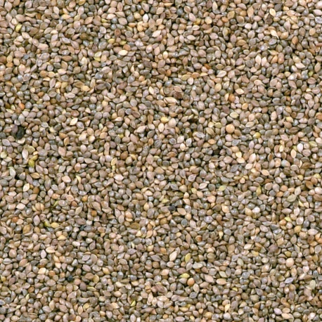 Millet Japonais 15kg