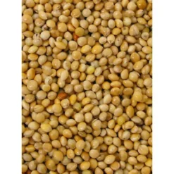 Millet Jaune 20kg