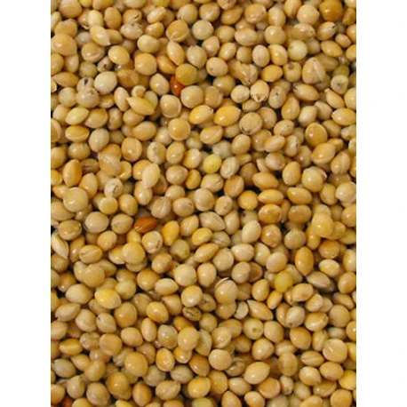 Millet Jaune 20kg
