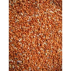 Millet Rouge 20kg