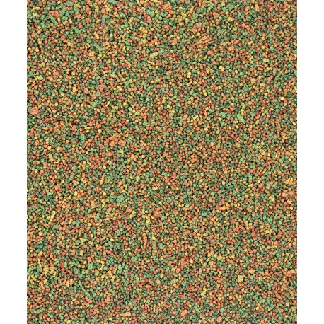 VERSELE-LAGA Nutribird C19 Tropical 10kg – Image 2