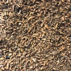 Duvo Pâtée Insectivore Avec 60% D'insectes 1kg