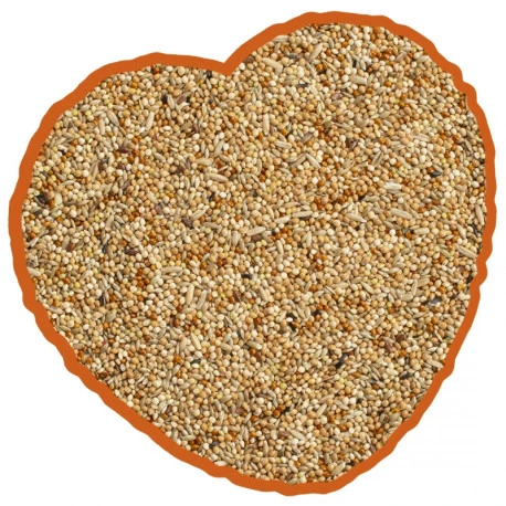 Petites Perruches Duvo 20Kg – Image 2