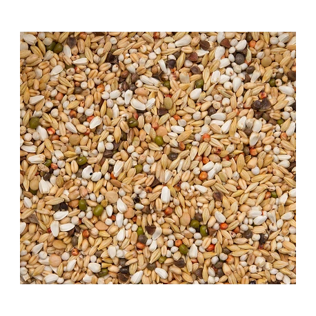 Premium Verkerk Light 20kg - Beyers – Image 2