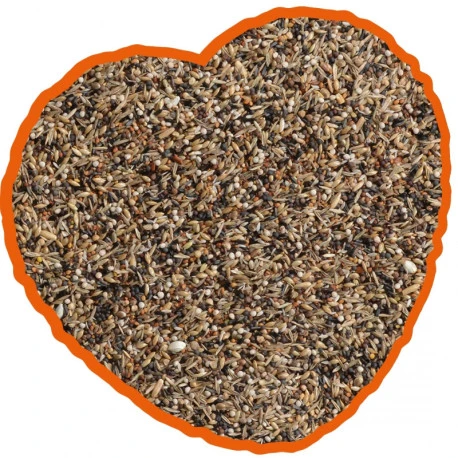 Duvo Tarins Et Chardonneret Spécial 15kg – Image 2